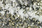 Pyrite, Sphalerite & Quartz Crystal Association - Peru #141821-1